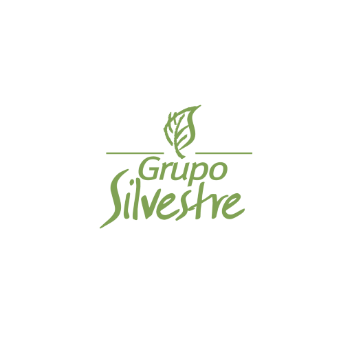 logo-grupo-silvestre